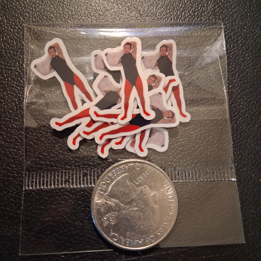 1 inch Tyler Stickers - 12 pack